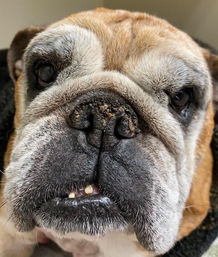 Portrait of Jennifer